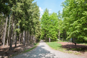 LESY CHRUDIM-151