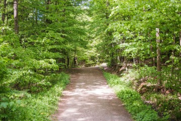 LESY CHRUDIM-157