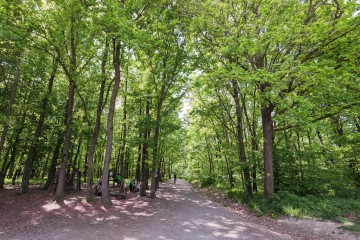 LESY CHRUDIM-96