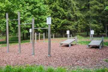 LESY CHRUDIM-129