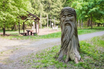 LESY CHRUDIM-142