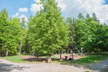LESY CHRUDIM-144