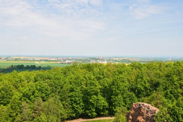 LESY CHRUDIM-44