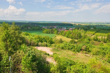 LESY CHRUDIM-47