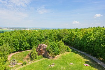 LESY CHRUDIM-45