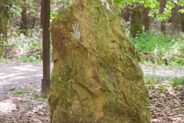 LESY CHRUDIM-108