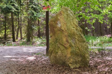 LESY CHRUDIM-109