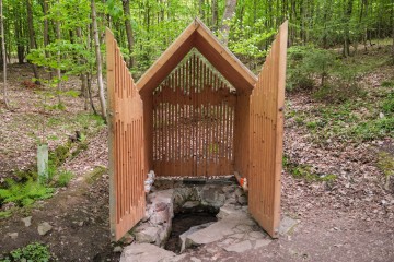 LESY CHRUDIM-163