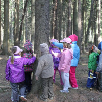 Lesní pedagogika 2013