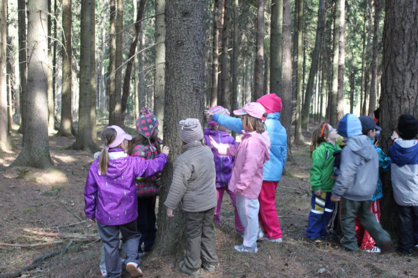 Lesní pedagogika 2013