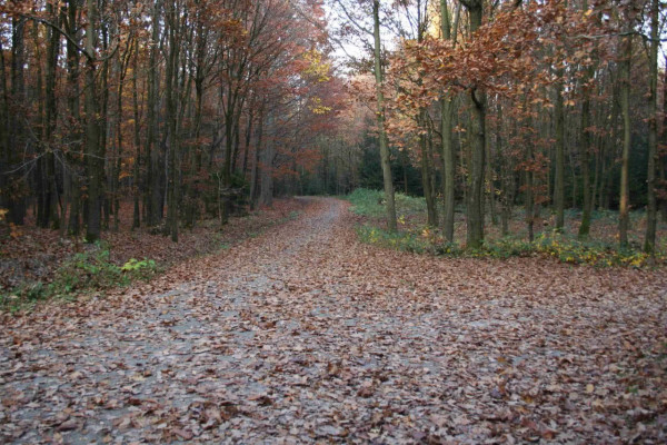 Konec hlavní sezóny v Rekreačních lesích Podhůra