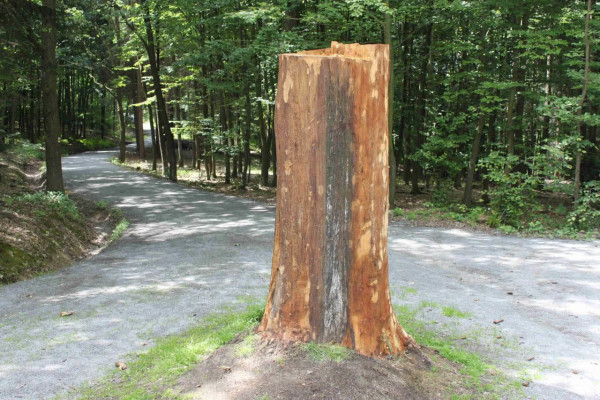 Dřevěná socha u lesní tělocvičny