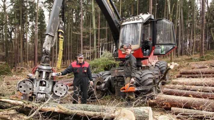 Využití harvestorové technologie v rekreačních lesích Podhůra