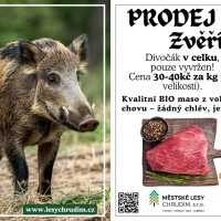 Prodej zvěřiny 2025